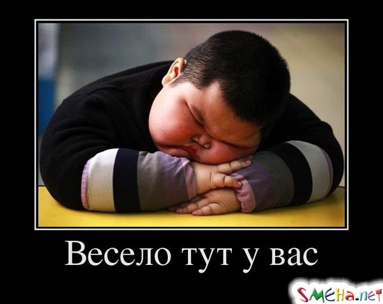 Весело тут у вас