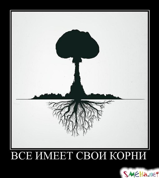 ВСЕ ИМЕЕТ СВОИ КОРНИ