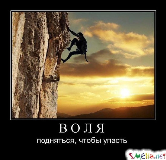 ВОЛЯ - подняться, чтобы упасть