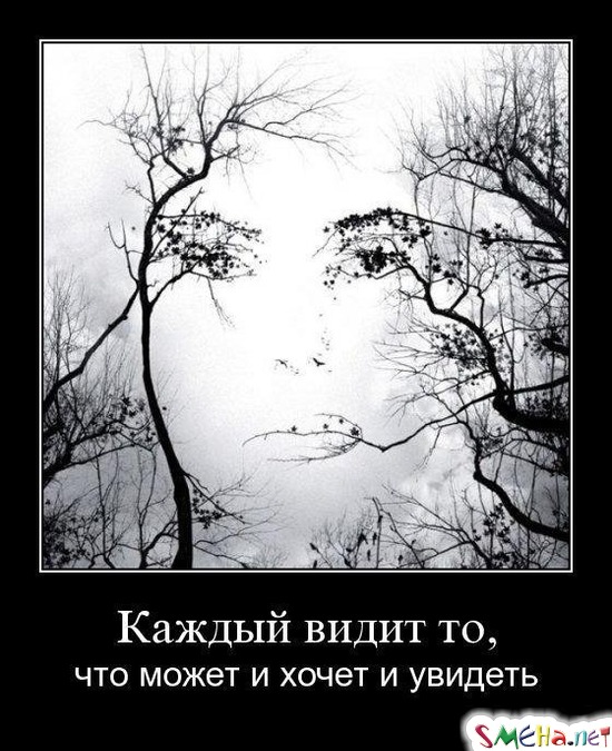 Каждый видит то, - что может и хочет и увидеть