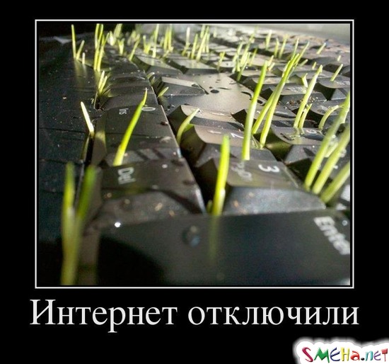 Интернет отключили