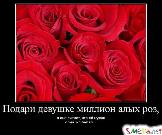 Подари девушке миллион алых роз, - а она скажет, что ей нужна одна, но белая...