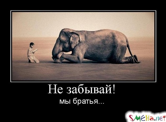 Не забывай! - мы братья...