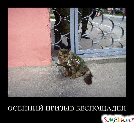 ОСЕННИЙ ПРИЗЫВ БЕСПОЩАДЕН