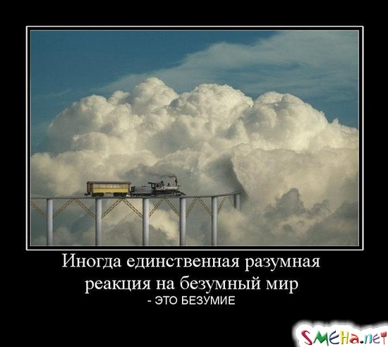 Иногда единственная разумная реакция на безумный мир - ЭТО БЕЗУМИЕ
