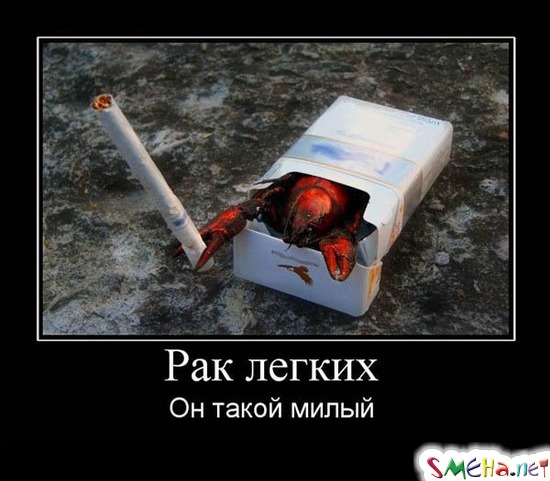 Рак легких - Он такой милый