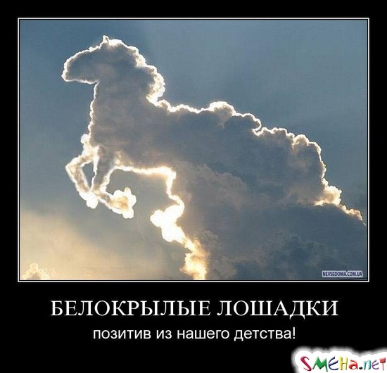 БЕЛОКРЫЛЫЕ ЛОШАДКИ - позитив из нашего детства!