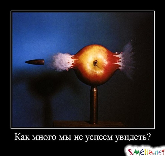 Как много мы не успеем увидеть?