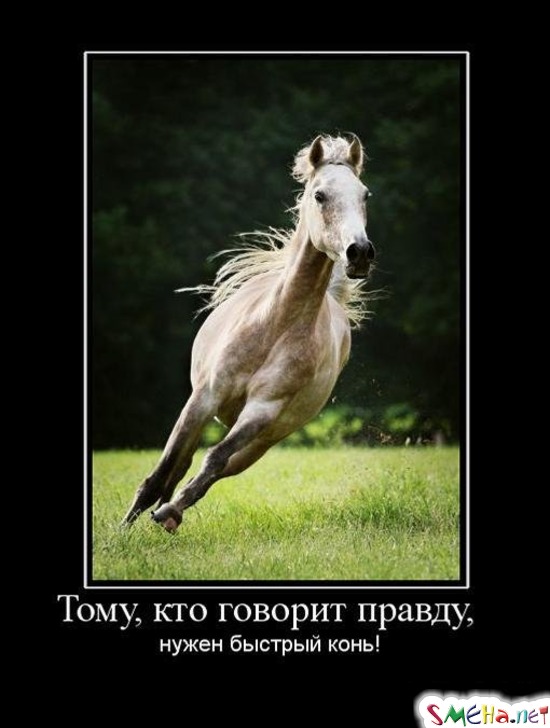 Тому, кто говорит правду, - нужен быстрый конь!