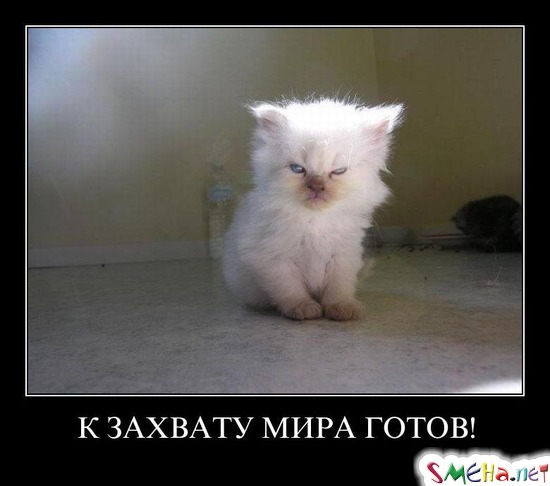 К ЗАХВАТУ МИРА ГОТОВ!