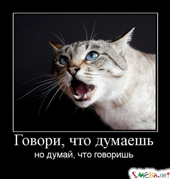 Говори, что думаешь - но думай, что говоришь