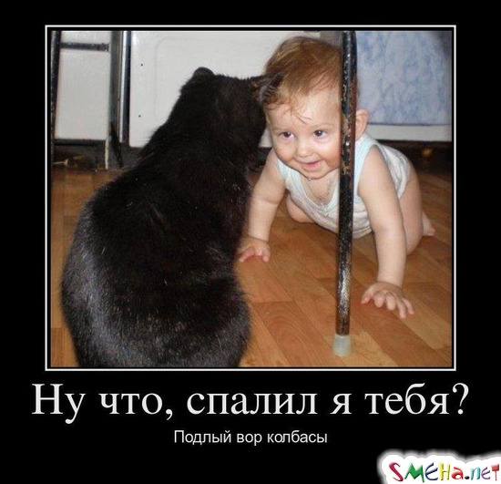 Ну что, спалил я тебя? - Подлый вор колбасы