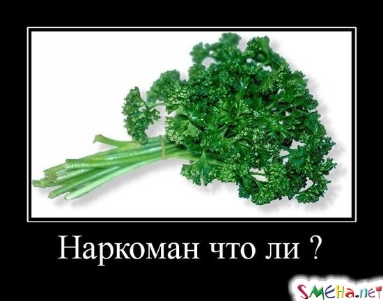 Наркоман что ли?