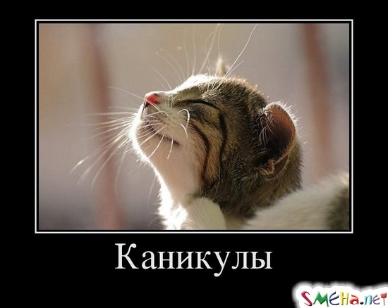 Каникулы