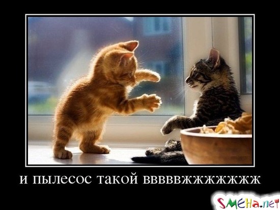 и пылесос такой вввввжжжжжжж