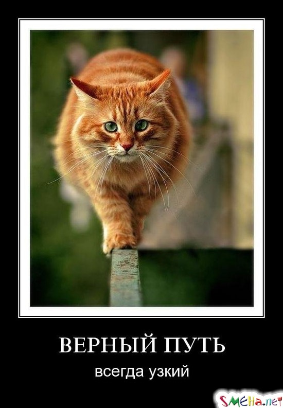 ВЕРНЫЙ ПУТЬ - всегда узкий