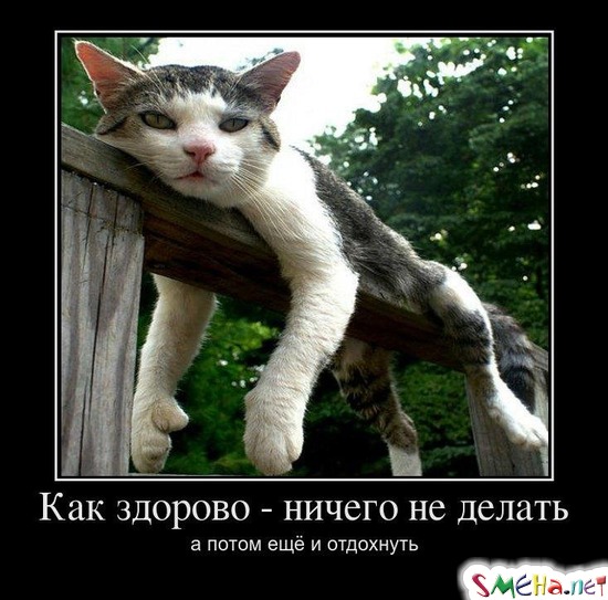 Как здорово - ничего не делать а потом ещё и отдохнуть