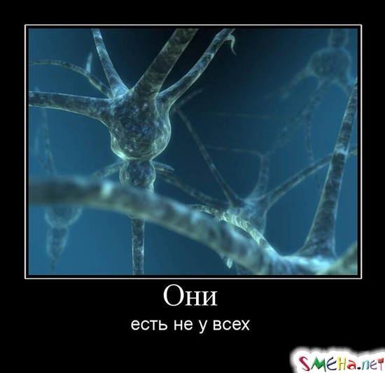 Они есть не у всех