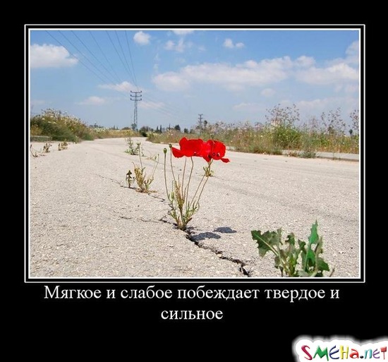 Мягкое и слабое побеждает твердое и сильное