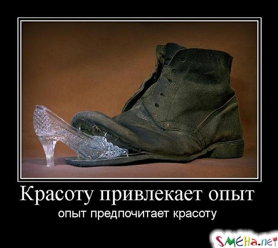 Красоту привлекает опыт - опыт предпочитает красоту