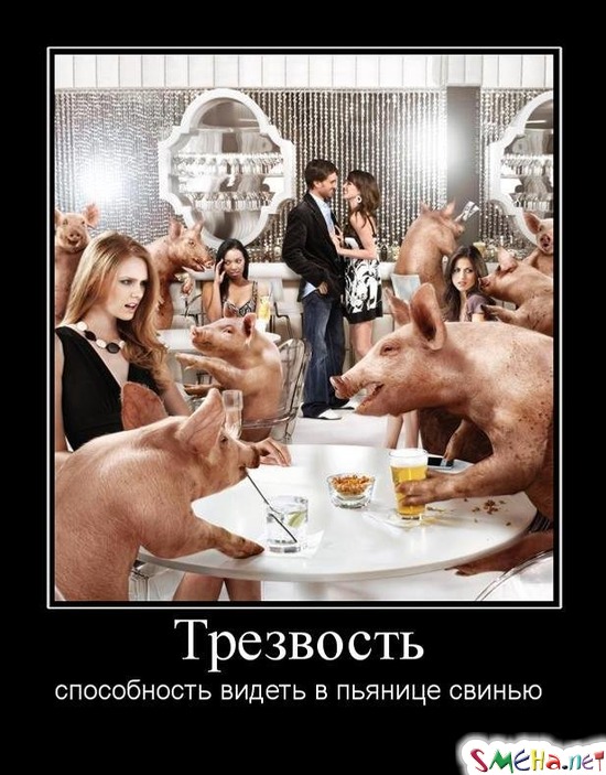 Трезвость - способность видеть в пьянице свинью