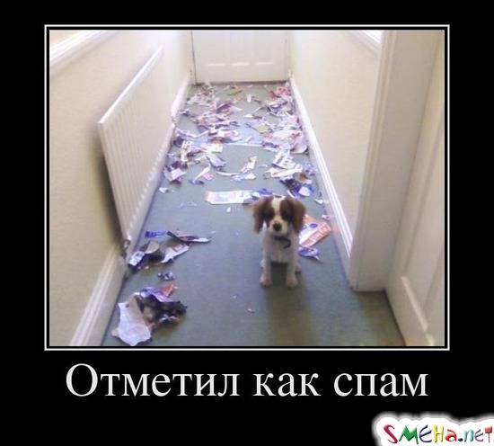 Отметил как спам