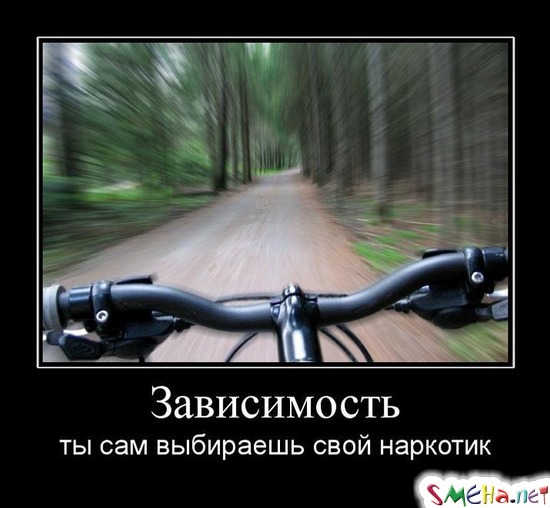 Зависимость - ты сам выбираешь свой наркотик