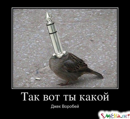 Так вот ты какой - Джек Воробей