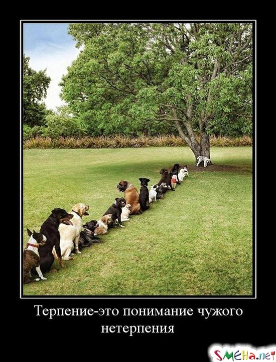 Терпение - это понимание чужого нетерпения