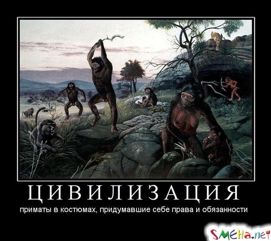 ЦИВИЛИЗАЦИЯ - приматы в костюмах, придумавшие себе права и обязанности