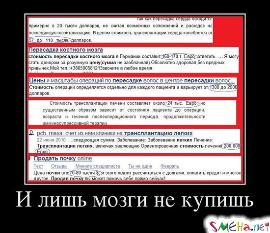 И лишь мозги не купишь