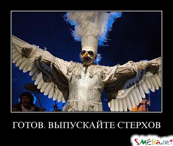 ГОТОВ. ВЫПУСКАЙТЕ СТЕРХОВ