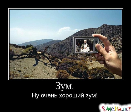 Зум. - Ну очень хороший зум!