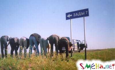 Прикольные фото