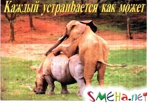 Пикантные фото приколы