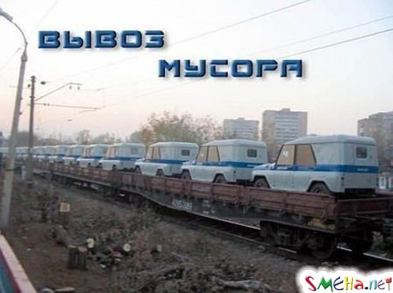 Прикольные фото