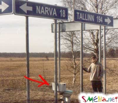 Прикольные фото