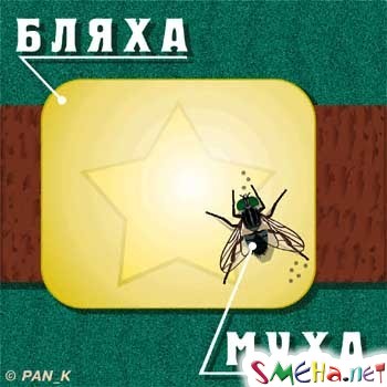Прикольные фото