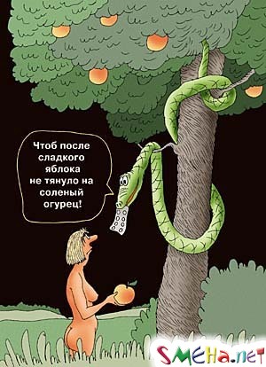 Пикантные фото приколы