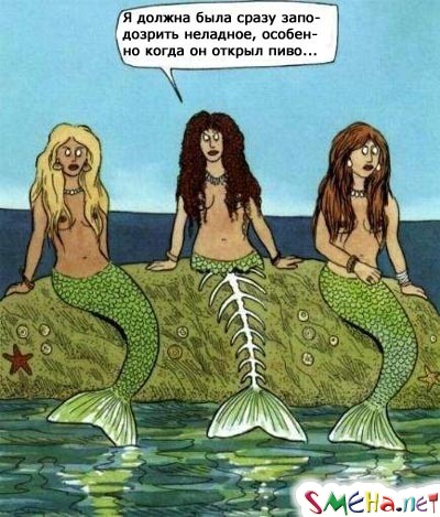 Прикольные фото