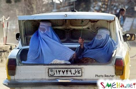 Прикольные фото
