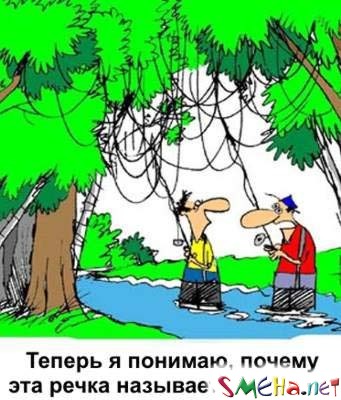 Прикольные фото