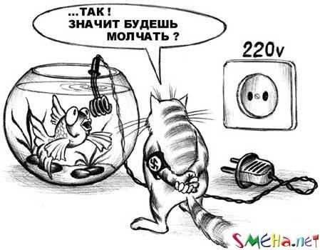 Прикольные фото