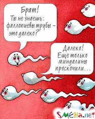 Пикантные картинки