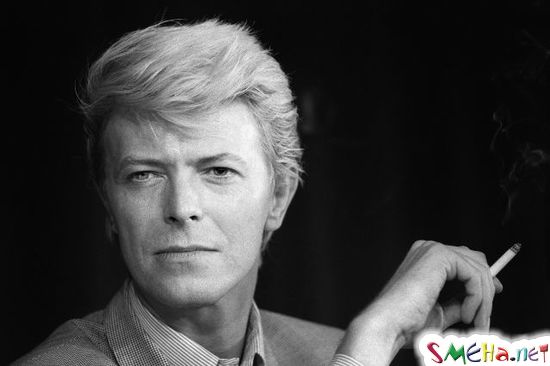 Дэвид Боуи (Дэвид Роберт Джонс) - David Bowie (David Robert Jones)