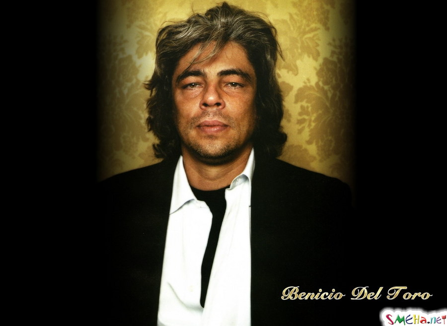 Бенисио Дель Торо (Benicio Del Toro)