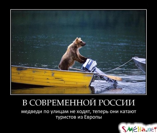 В СОВРЕМЕННОЙ РОССИИ медведи по улицам не ходят, теперь они катают туристов из Европы