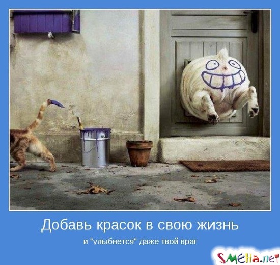 Добавь красок в свою жизнь - и улыбнется даже твой враг