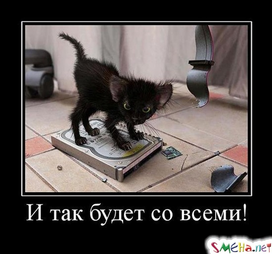 И так будет со всеми!