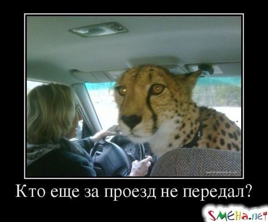 Кто еще за проезд не передал?